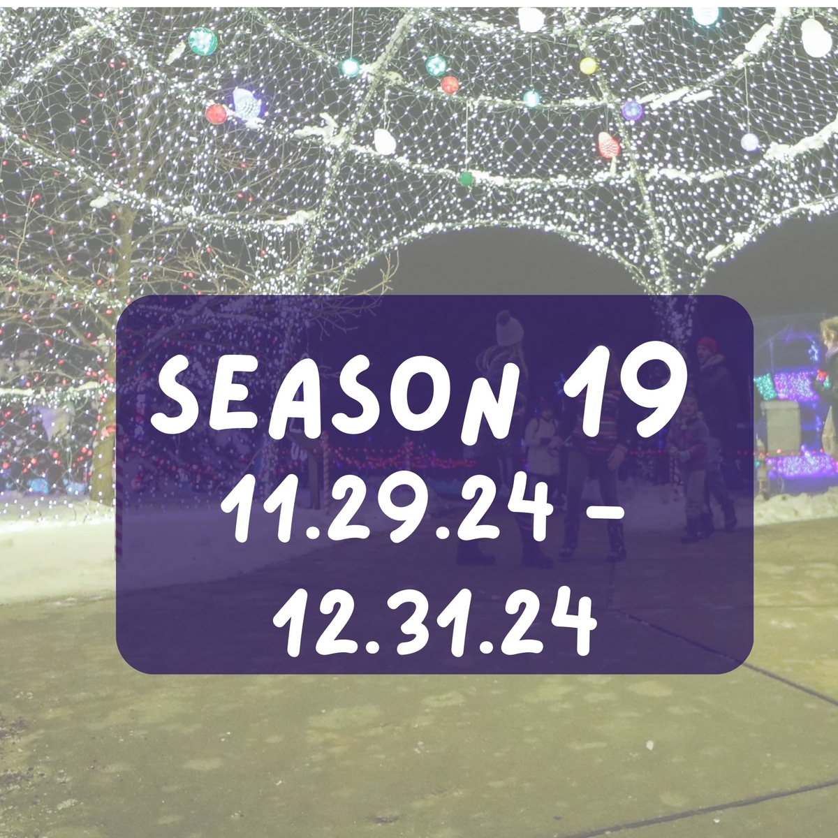 Marshfield Rotary Winter Wonderland Looking for Volunteers for Setup