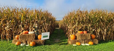 Corn-maze-fall-activity-in-Mahoning-County-Ohio..jpg