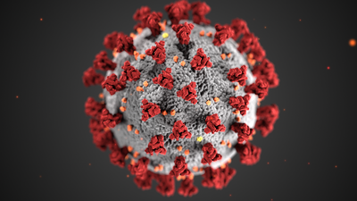 Coronavirus_3D_illustration_by_CDC_1600x9000.png
