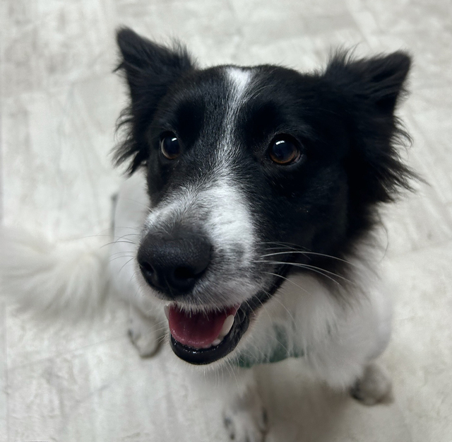 Frannie4.jpg