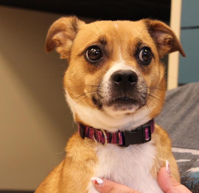 Holly2.jpg