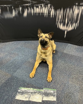 K9Officer1.jpg