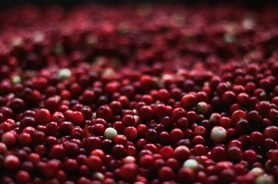 berries-1851161_640.jpg