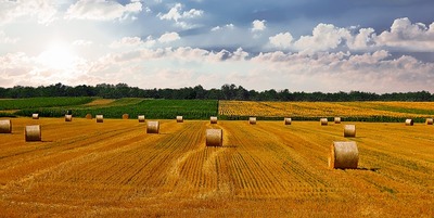 countryside-g6345ae7d0_640.jpg