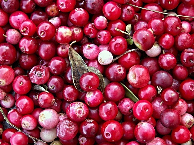 cranberries-112155_6400.jpg