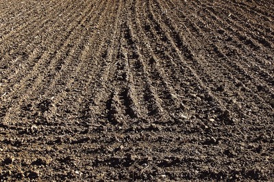 fields-g8ec684d42_6404.jpg