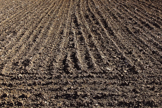 fields-g8ec684d42_6405.jpg