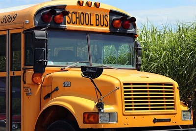 school-bus-4406479_6400.jpg