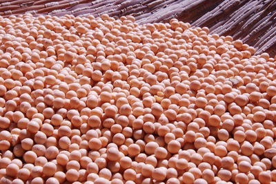 soy-1219880_640.jpg