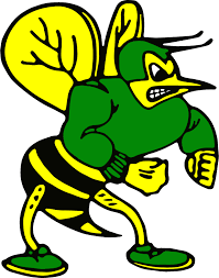Colby_hornet0.png